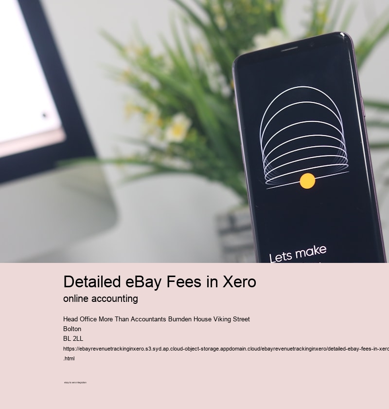 Detailed eBay Fees in Xero