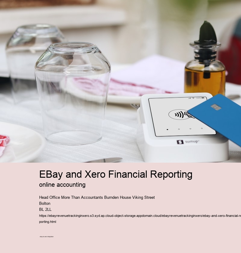 eBay and Xero Financial Reporting